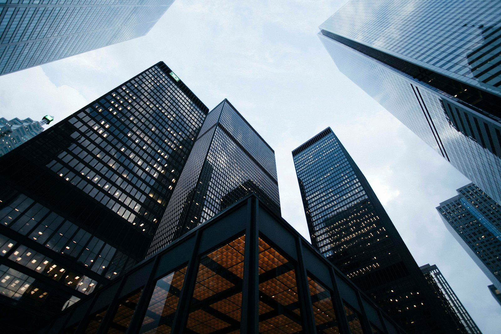 Market Development